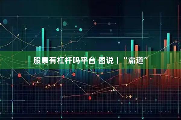 股票有杠杆吗平台 图说丨“霸道”