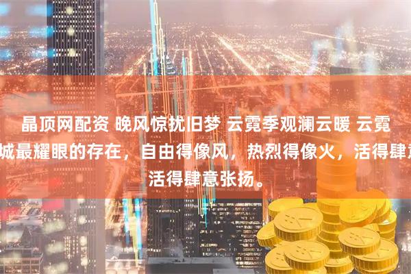 晶顶网配资 晚风惊扰旧梦 云霓季观澜云暖 云霓曾是北城最耀眼的存在，自由得像风，热烈得像火，活得肆意张扬。