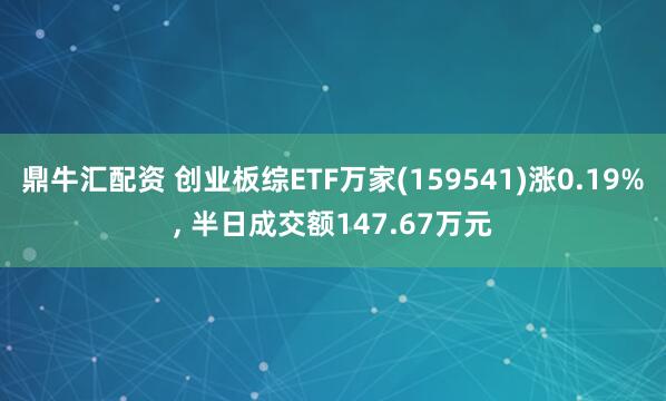 鼎牛汇配资 创业板综ETF万家(159541)涨0.19%, 半日成交额147.67万元